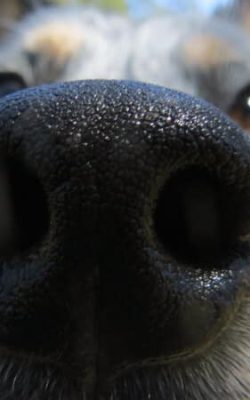 315822974_142436191875809_6320753577982010768_n