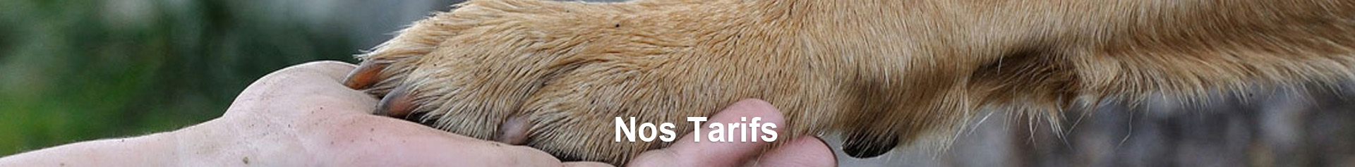 Nos Tarifs